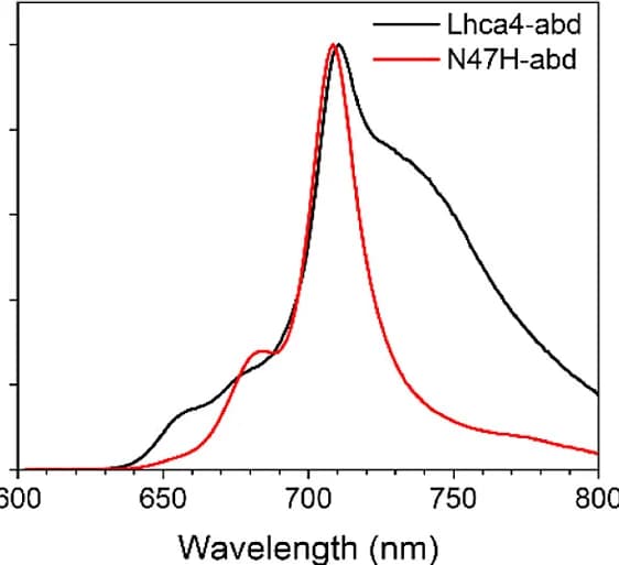 Open access visualization of Line Plot, Density Plot, RT Emission Spectra, Lhca4 Complex, N47H Complex