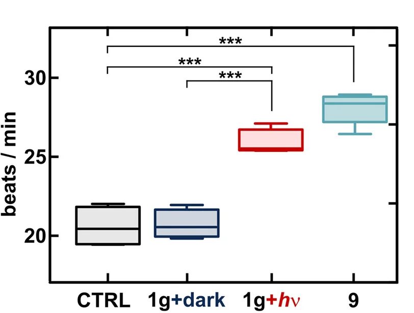 Open access visualization of Box Plot, Cardiomyocytes, Beating Rates, NIR Light, Etilefrine