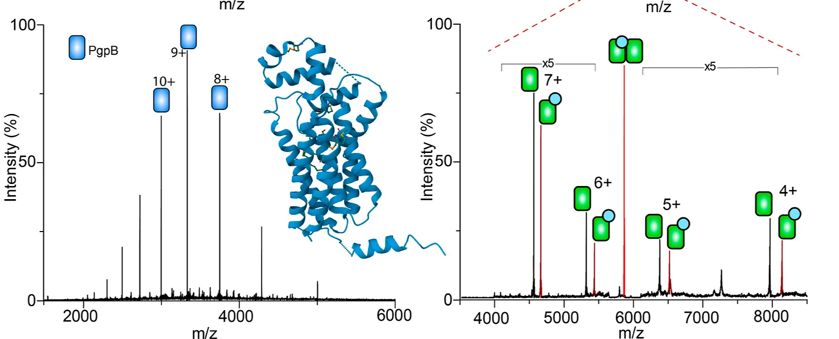 Open access visualization of Bar Plot, 3D Plot, Mass Spectrum, E. Coli, PgpB