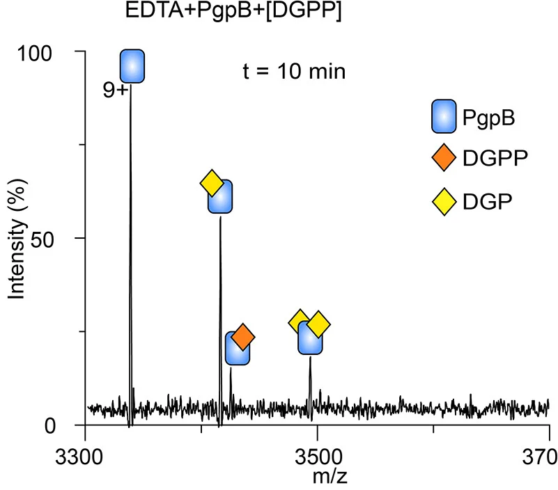 Open access visualization of Line Plot, PgpB, DGPP, EDTA, Spectrum