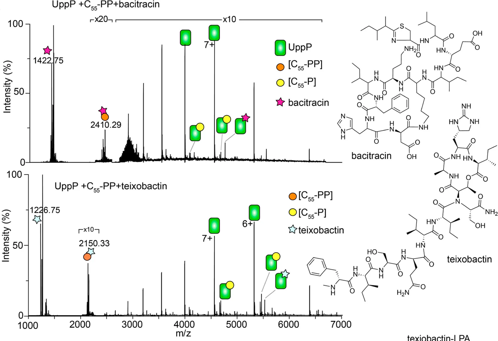 Open access visualization of Line Plot, UppP, C55-PP, Bacitracin, Teixobactin