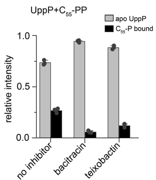Open access visualization of Bar Plot, Clustered, Error Bars, UppP, Enzyme-Product Complexes