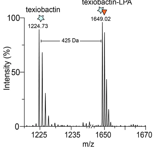 Open access visualization of Line Plot, PgpB, LPA, Negative Electrospray Ionization, Teixobactin