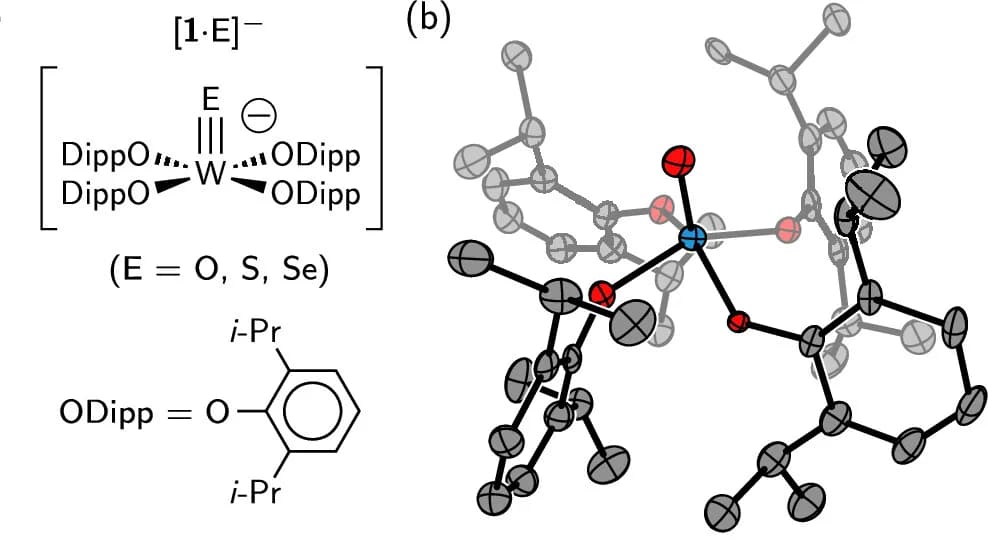 Open access visualization of Chemical Structure, Aryloxide Ligands, Geometry