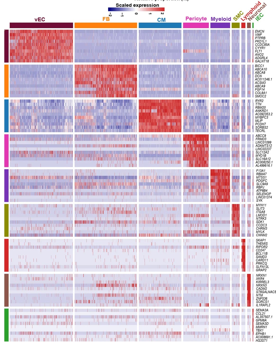 Open access visualization of Heatmap, Molecular Signature, Lineage, Cardiomyocyte, Fibroblast