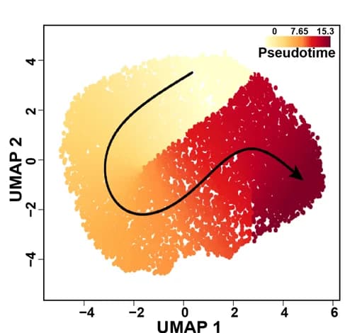 Open access visualization of UMAP, Scatter Plot, Line Plot, Cellular Trajectory, Failing Cardiomyocytes