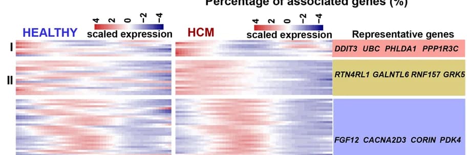 Open access visualization of Heatmap, Heatmaps, Expression Dynamics, Genes, Trajectory