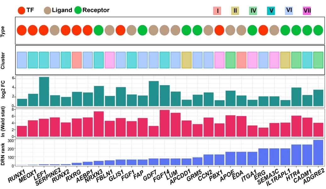 Open access visualization of Bar Plot, Clustered, Key genes, Expression patterns, Fold change