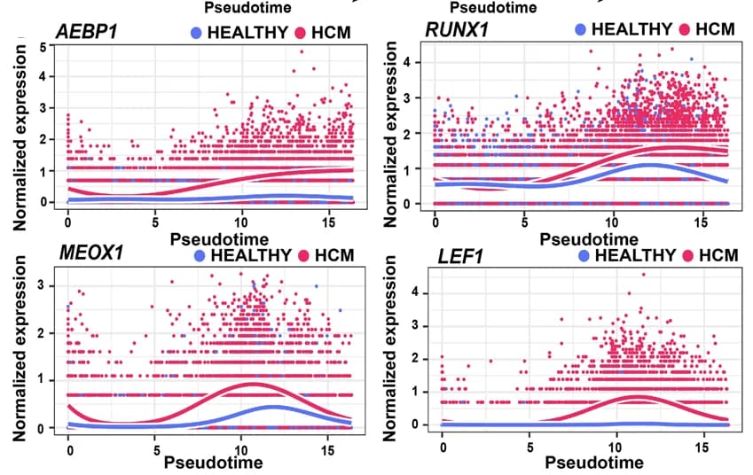 Open access visualization of Scatter Plot, Line Plot, Expression curves, Candidate genes, Trajectory