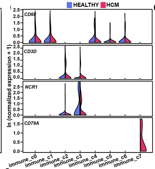 Open access visualization of Violin Plot, Macrophages, T Cells, Natural Killer Cells, B Cells