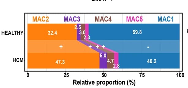 Open access visualization of Stacked Bar Plot, Relative proportion, Macrophage subpopulations, Expansion, Contraction