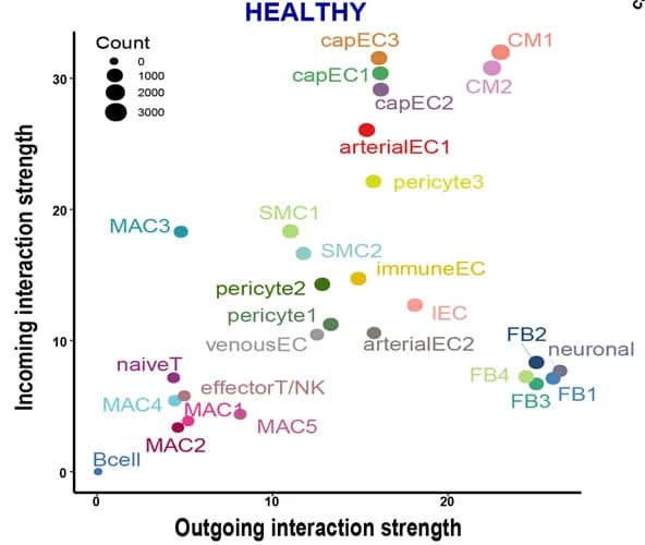 Open access visualization of Scatter Plot, Bubble Plot, Incoming Interaction Strength, Outgoing Interaction Strength, HCM