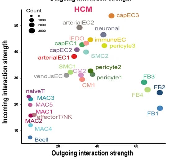 Open access visualization of Bubble Plot, Scatter Plot, Incoming Interaction Strength, Outgoing Interaction Strength, HEALTHY