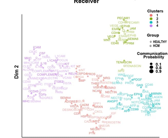 Open access visualization of Scatter Plot, Bubble Plot, UMAP, PCA, Joint Manifold Learning
