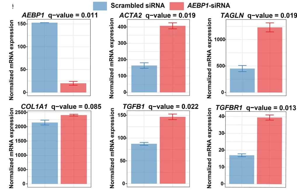 Open access visualization of Bar Plot, Error Bars, Clustered, mRNA Expression, AEBP1