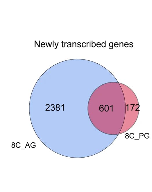 Open access visualization of Venn Diagram, Newly Transcribed Genes, Parthenogenetic Embryos, Androgenetic Embryos, 8-cell Embryos