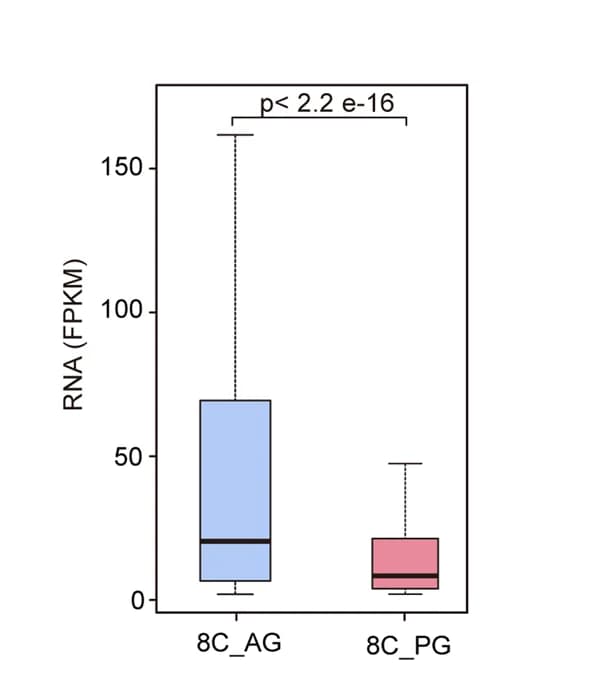 Open access visualization of Box Plot, Gene Expression, Newly Transcribed Genes, Androgenetic Embryos, Parthenogenetic Embryos