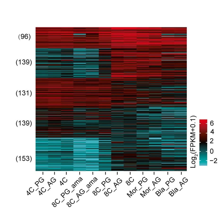 Open access visualization of Heatmap, Transcription Factors, Haploid Embryos, Bi-parental Embryos, Gene Expression