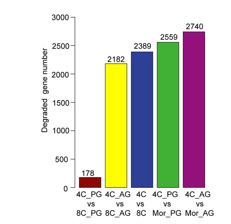 Open access visualization of Bar Plot, Maternal genes, Transcript degradation, Haploid embryos, Bi-parental embryos