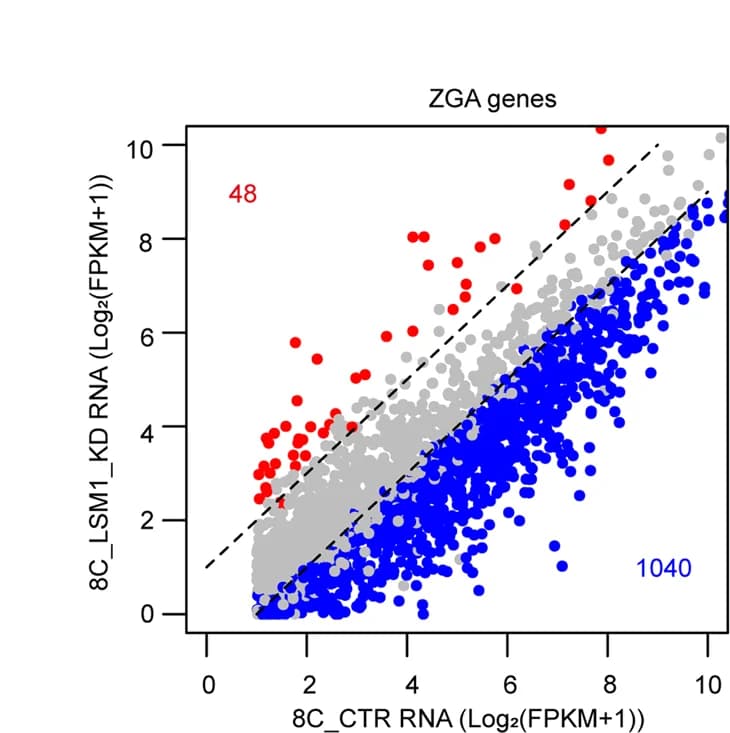 Open access visualization of Scatter Plot, Expression levels, ZGA genes, LSM1 KD, Control