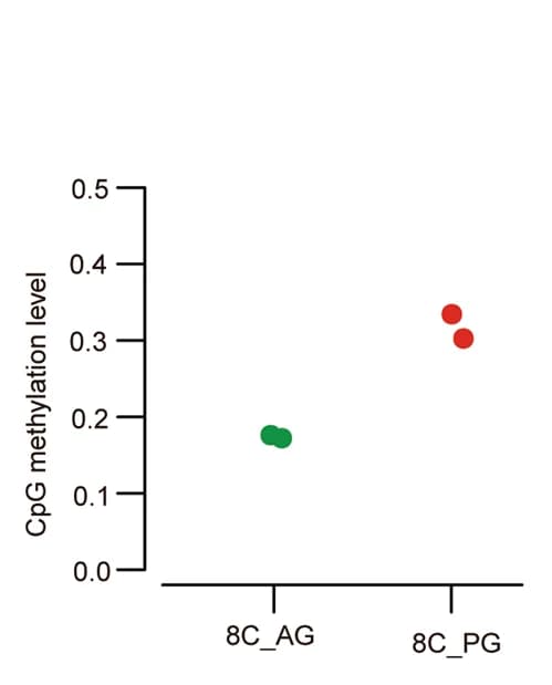 Open access visualization of Scatter Plot, DNA methylation, PG Embryos, AG Embryos, 8-Cell Stage