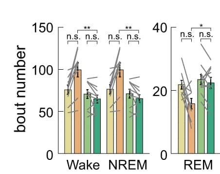 Open access visualization of Bar Plot, Error Bars, hM3Dq, tdTomato, CNO