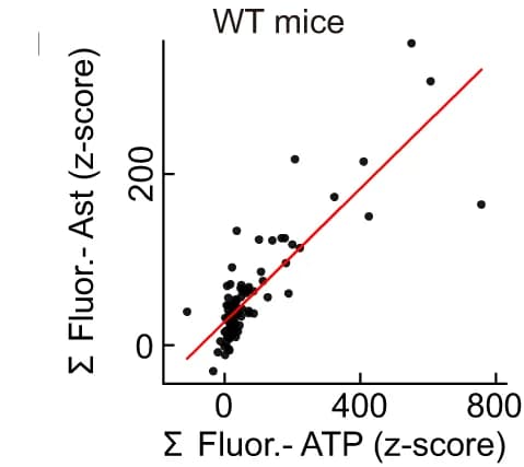 Open access visualization of Scatter Plot, Regression Plot, Correlation, GCaMP, GRAB ATP
