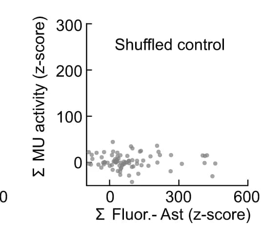 Open access visualization of Scatter Plot, Extracellular Ado, Neural Activity