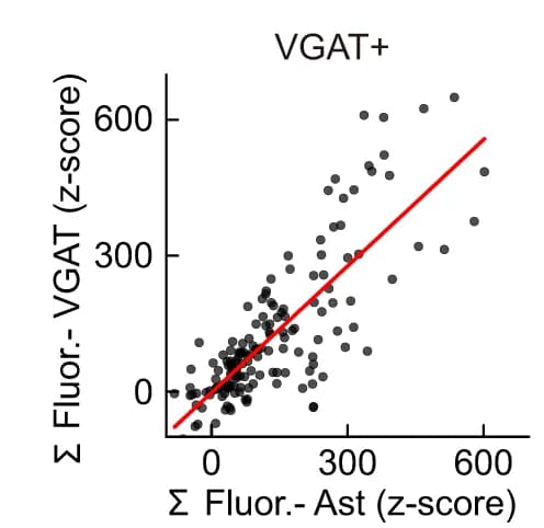 Open access visualization of Scatter Plot, Regression Plot, GCaMP, Astrocytes, VGAT Neurons