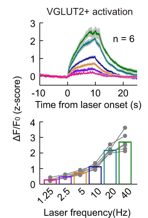 Open access visualization of Line Plot, Error Bars, Scatter Plot, Bar Plot, GCaMP