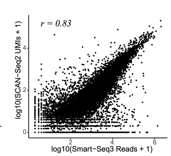 Open access visualization of Scatter Plot, Regression Plot, Gene Expression, SCAN-seq2, Smart-seq3
