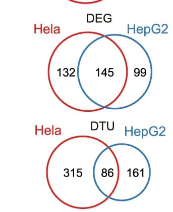 Open access visualization of Venn Diagram, Differentially Expressed Genes, Differential Transcript Usage, IGG-responsive Cluster, Hela Cells