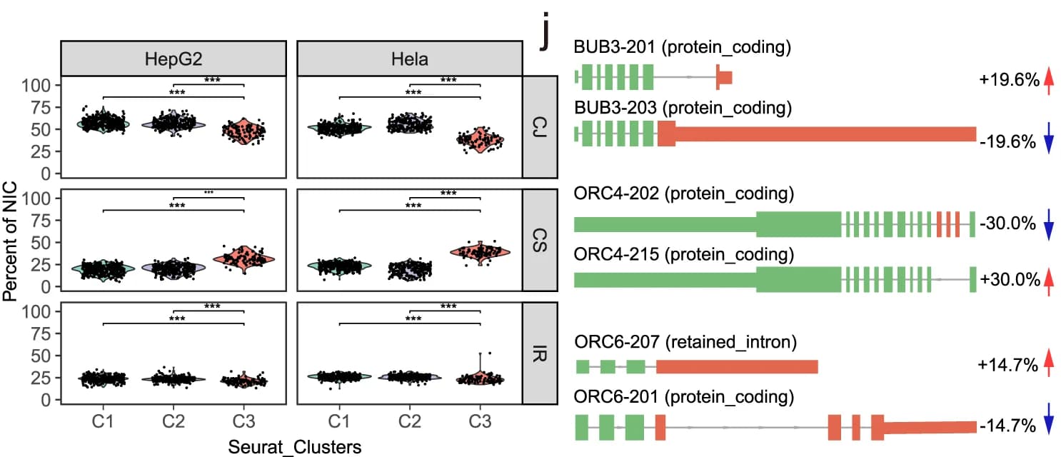 Open access visualization of Violin Plot, Illustration, NIC Transcripts, Clusters, Wilcoxon Rank-Sum Test