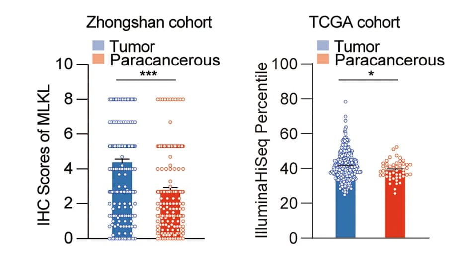Open access visualization of Bar Plot, Scatter Plot, Error Bars, MLKL expression, Cancer tissues
