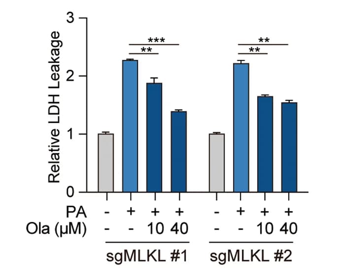 Open access visualization of Bar Plot, Error Bars, Clustered, PARP inhibition, Cell death