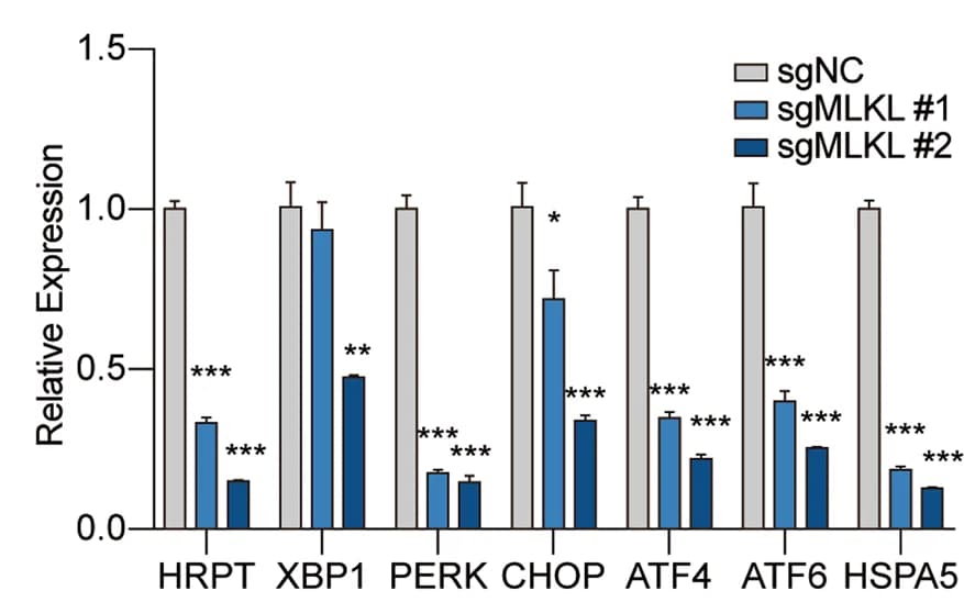 Open access visualization of Bar Plot, Error Bars, Clustered, mRNA, Protein