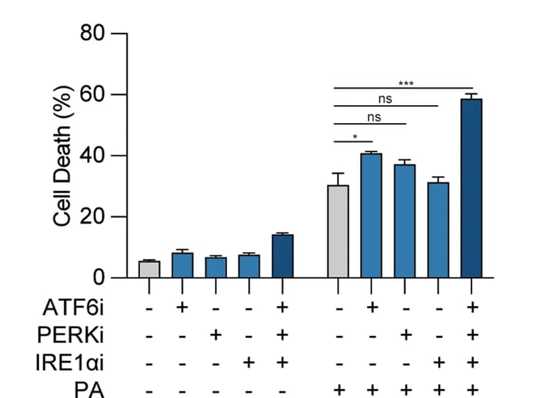 Open access visualization of Bar Plot, Error Bars, Cell death analysis, Hepa 1-6 cells, Inhibitors