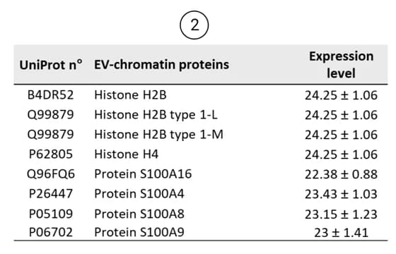 Open access visualization of Table Image, Mass spec, Chromatin, Histones, H2B