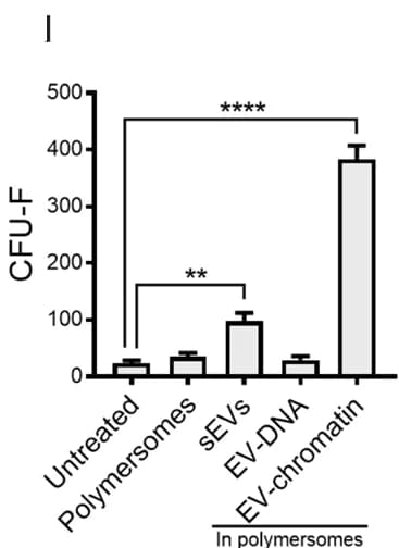 Open access visualization of Bar Plot, Error Bars, BM-MSC colonies, sEVs, EV-DNA
