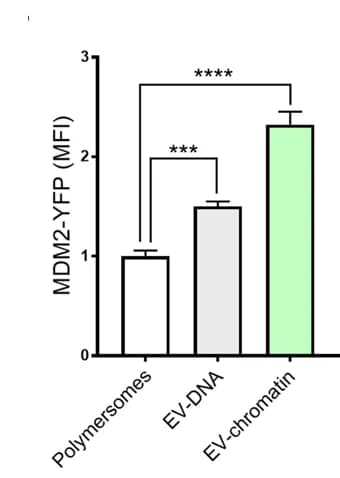 Open access visualization of Bar Plot, Error Bars, YFP, MDM2, BM-MSCs