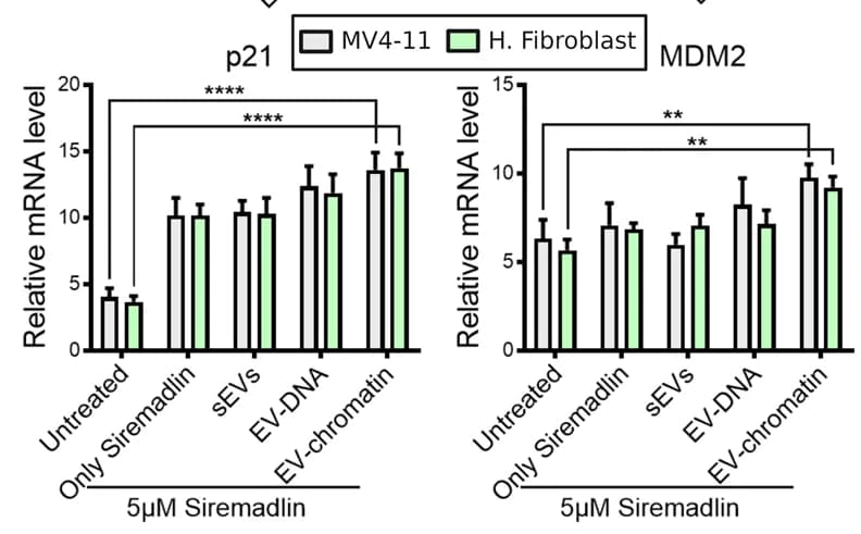 Open access visualization of Clustered, Bar Plot, Error Bars, p53 target genes, Siremadlin