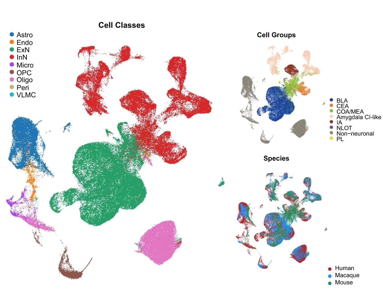 Open access visualization of Scatter Plot, UMAP, PCA, UMAP Plot, Human