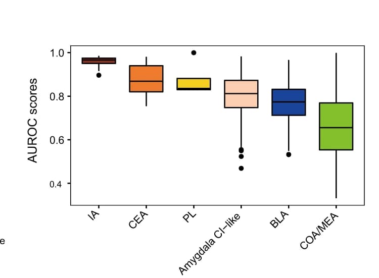 Open access visualization of Box Plot, AUROC Scores, Expression-Based Cluster, Cell-Group Origin