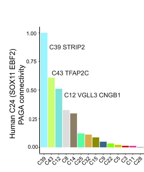 Open access visualization of Bar Plot, PAGA Connectivity, Human Dataset
