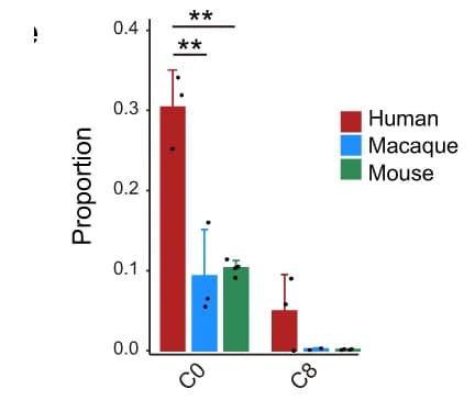 Open access visualization of Bar Plot, Error Bars, Clustered, Nuclei, Cell Types