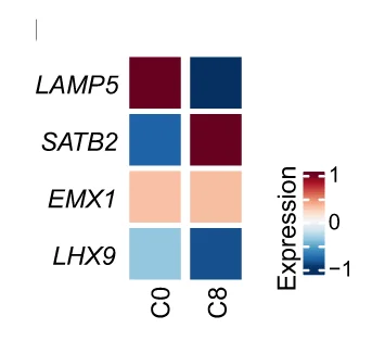 Open access visualization of Heatmap, Heat Map, Gene Expression, Clusters, LAMP5