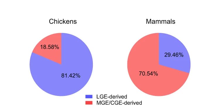 Open access visualization of Pie Chart, Nuclei, LGE, MGE/CGE, Chicken