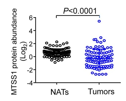 Open access visualization of Scatter Plot, MTSS1 Protein Expression, LUAD Samples, Normal Adjacent Tissues