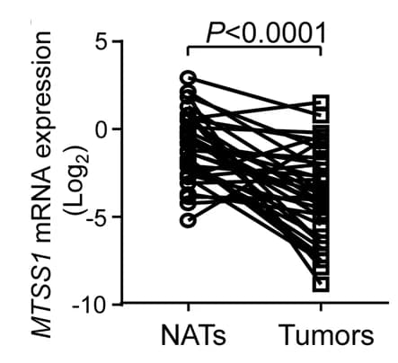 Open access visualization of Line Plot, MTSS1 mRNA Levels, LUAD Samples, Normal Adjacent Tissues