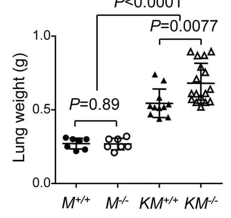 Open access visualization of Scatter Plot, Lung Cancer Development, Mice, Wild-type Mtss1, Mtss1 Knockout